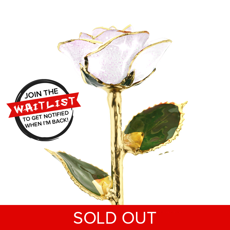 Frozen 24kt Gold Dipped Rose – Steven Singer Jewelers