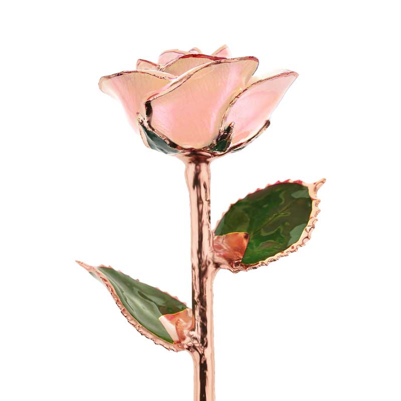 I Love You Rose Gold Dipped Rose