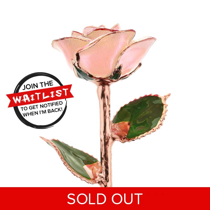 I Love You Rose Gold Dipped Rose