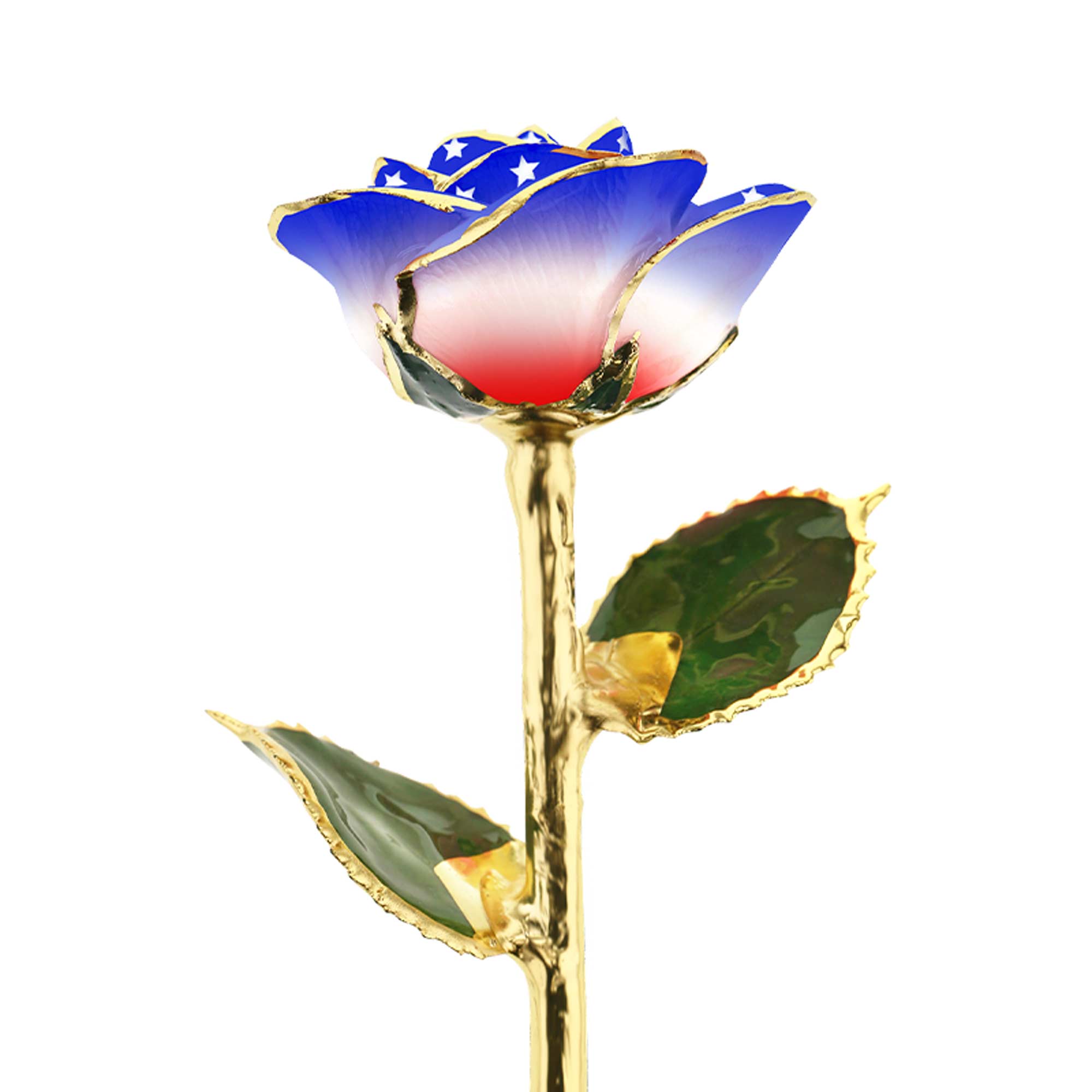 USA 24k Gold Dipped American Beauty Rose – Steven Singer Jewelers