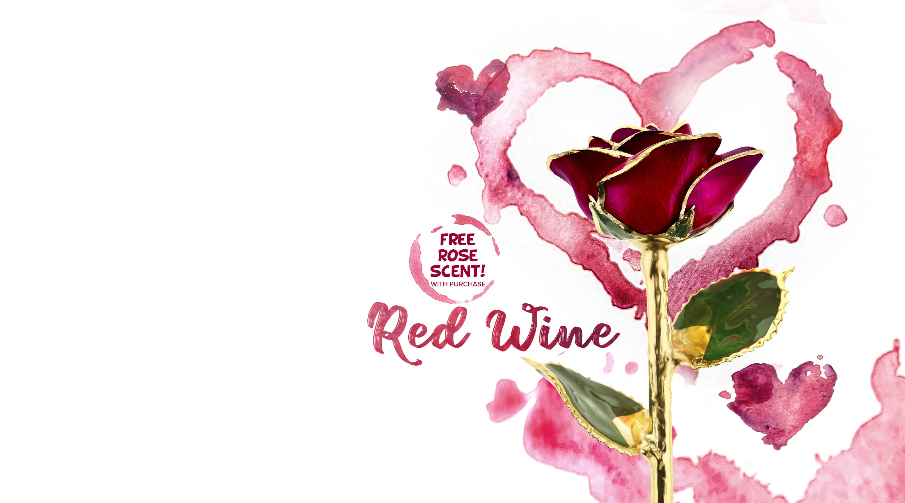 Steven Singer's brand new Red Wine 24 Karat Gold Dipped Rose.