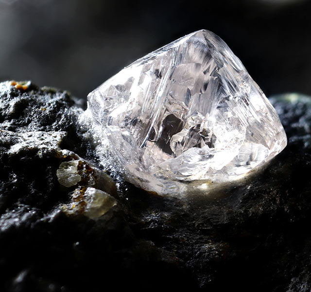 Natalie Build Your Own Earth Born Diamond Engagement Ring 1/5ct
