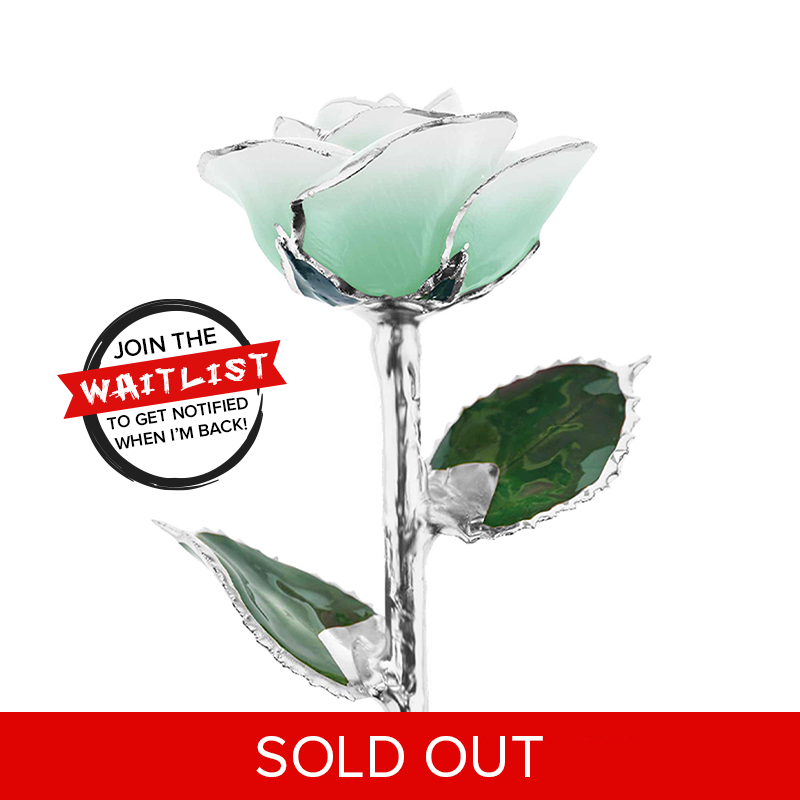 Mint To Be Platinum Dipped Rose