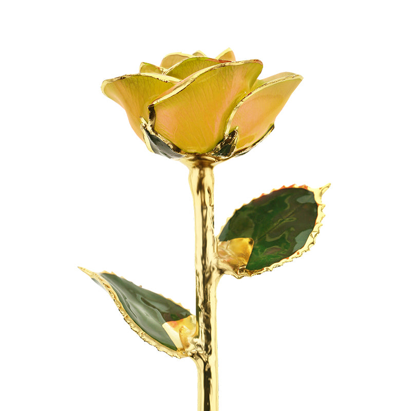 Mother's Love Yellow 24kt Gold Dipped Rose