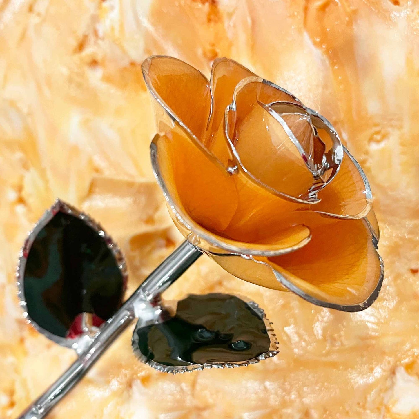 Creamsicle Platinum Rose