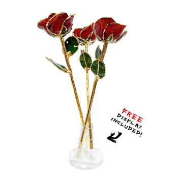 A 3 rose holder with 3 24kt gold dipped Valentines day red roses.