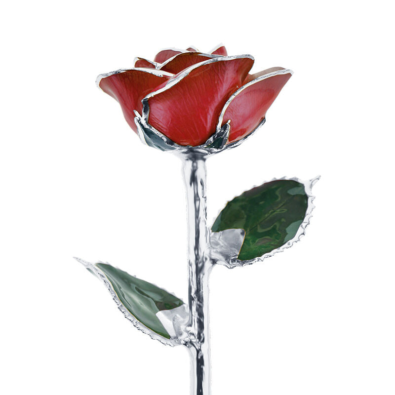 Platinum Valentine's Day Red Rose