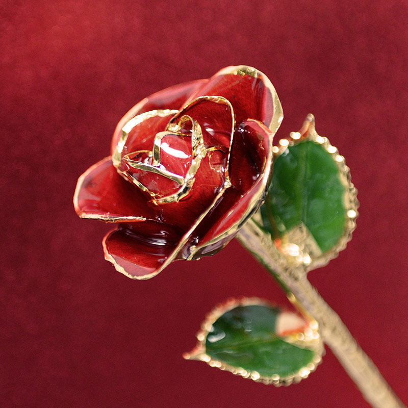 Valentines Day Red 24k Gold Dipped Rose