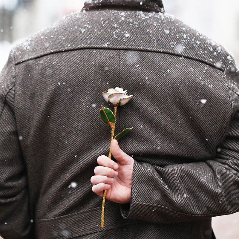 Frozen 24kt Gold Dipped Rose