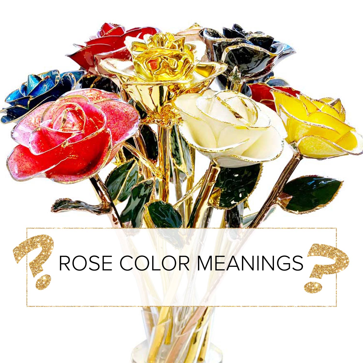 Rose Color Meanings – Steven Singer Jewelers