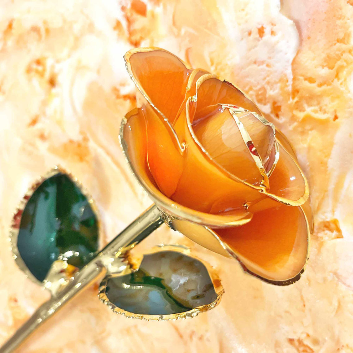 Creamsicle 24kt Gold Dipped Rose