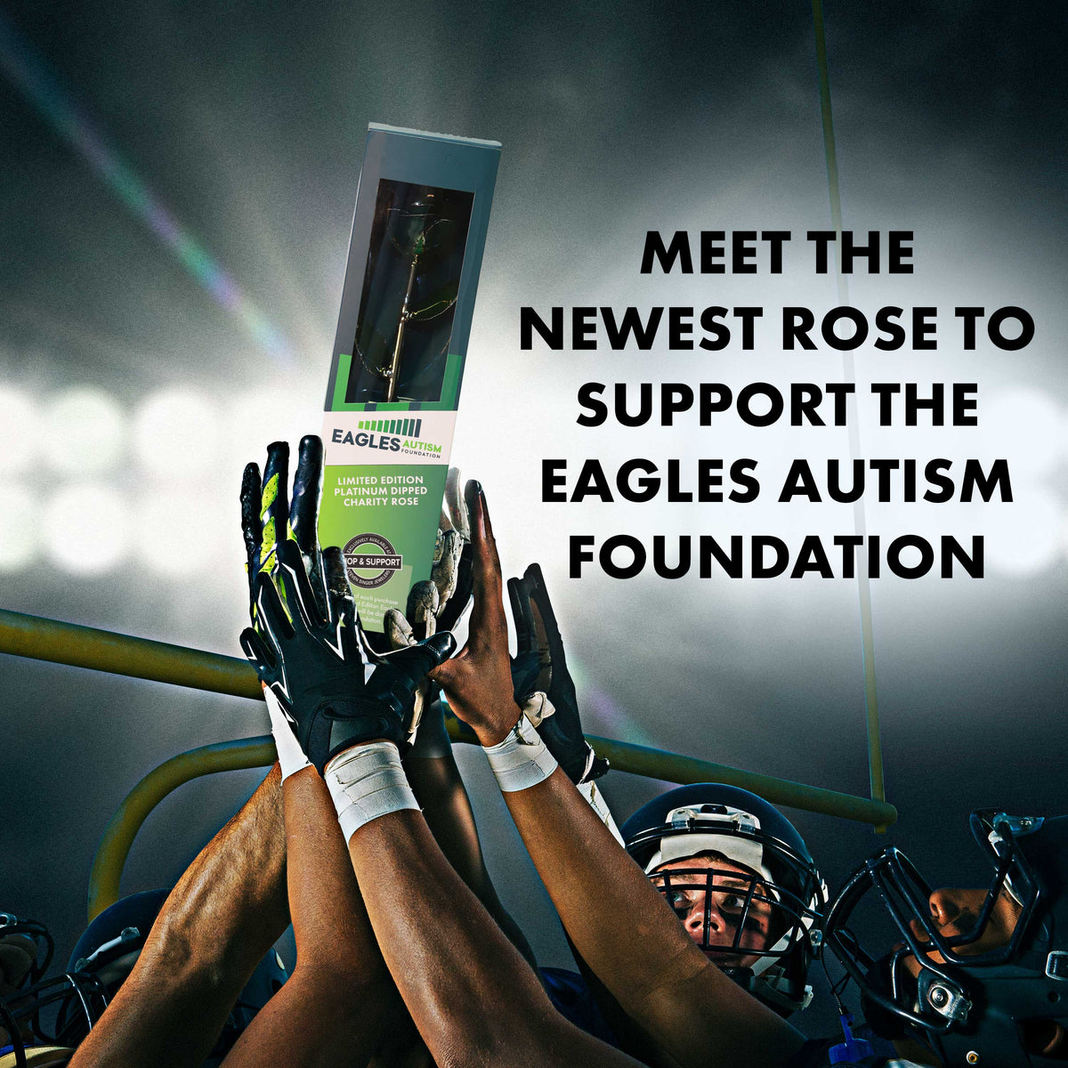 Meet the newest rose to support the Eagles Autism Foundation