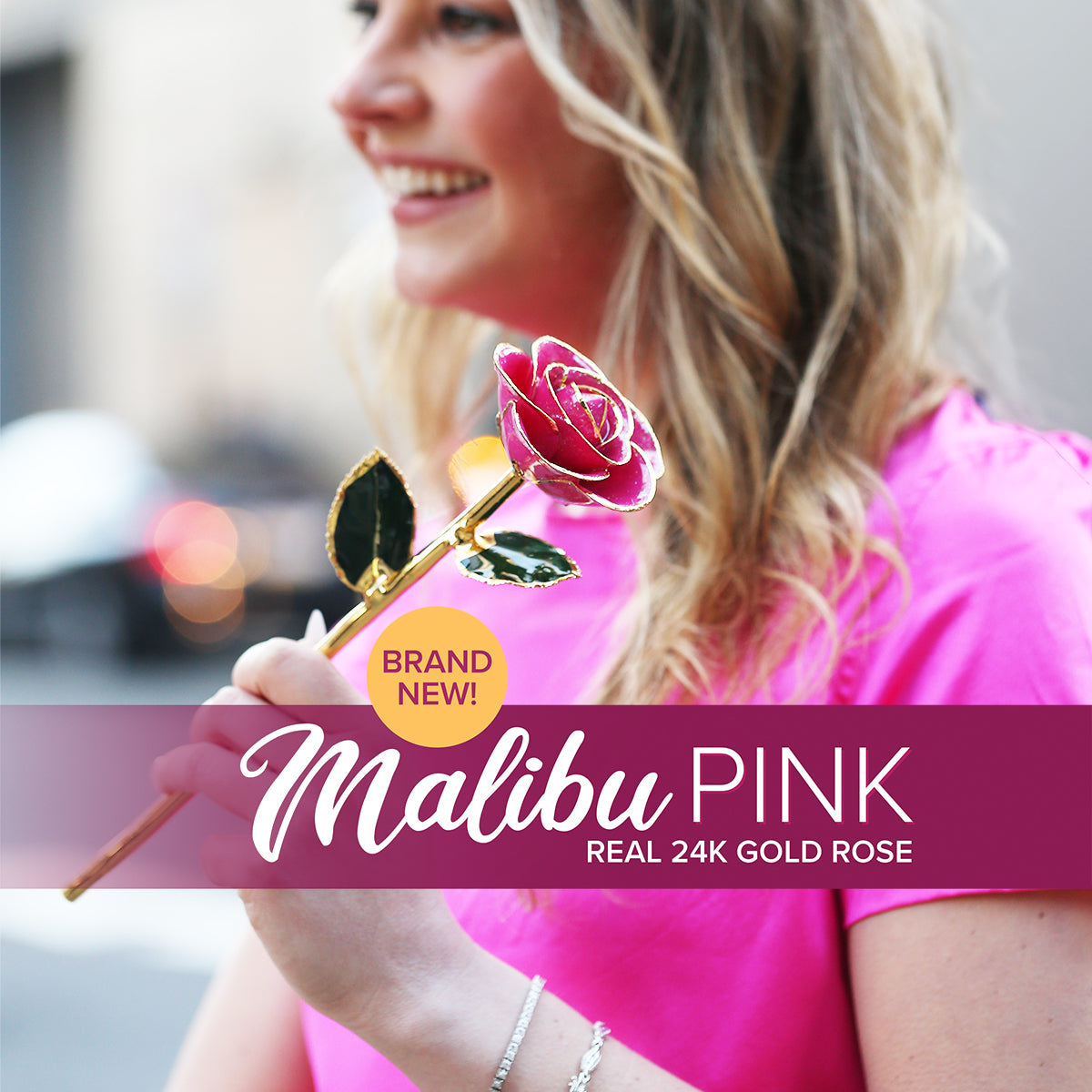 Steven Singer's Brand-New Gold Dipped Rose for 2024 – Steven Singer ...