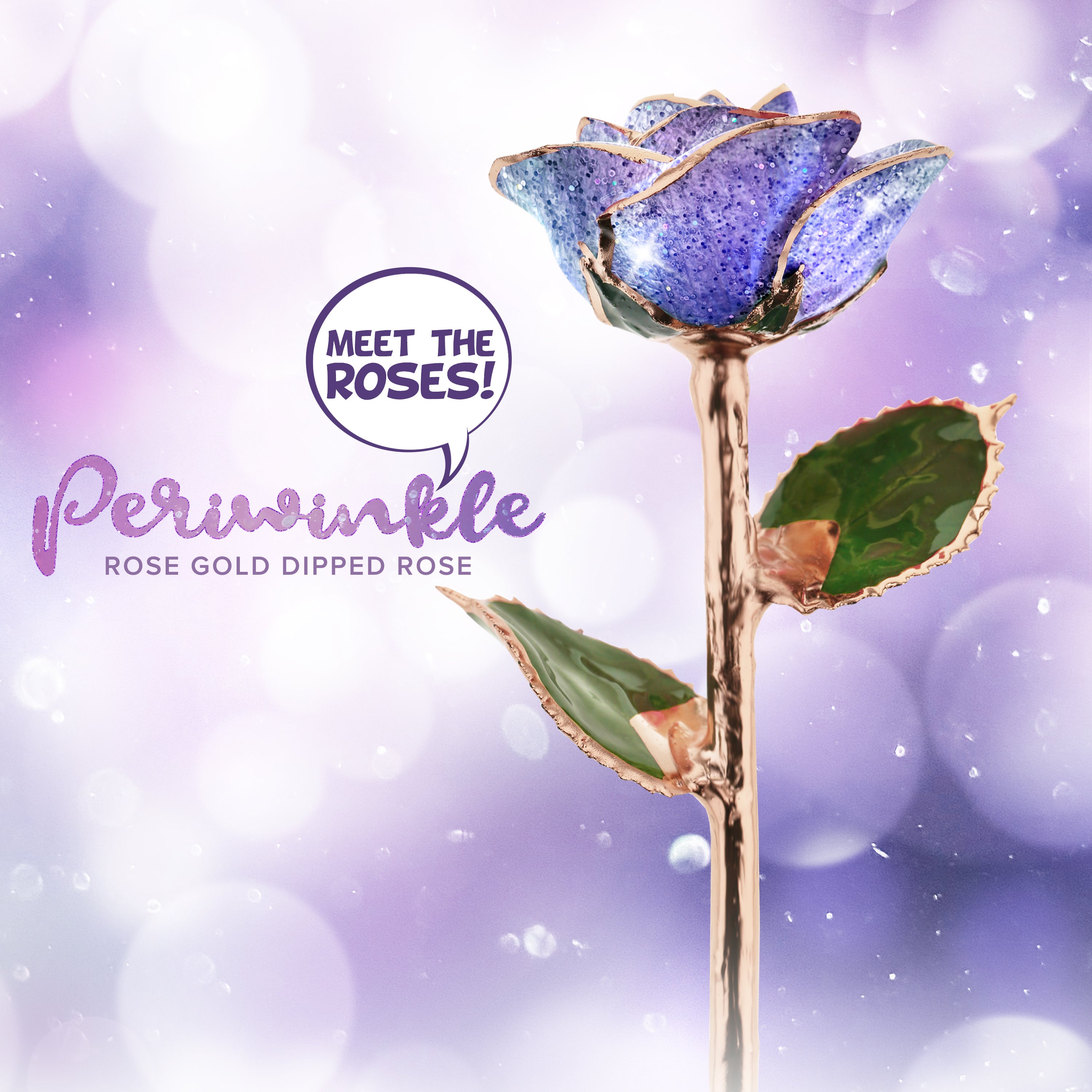 NEW Periwinkle Rose Gold Rose