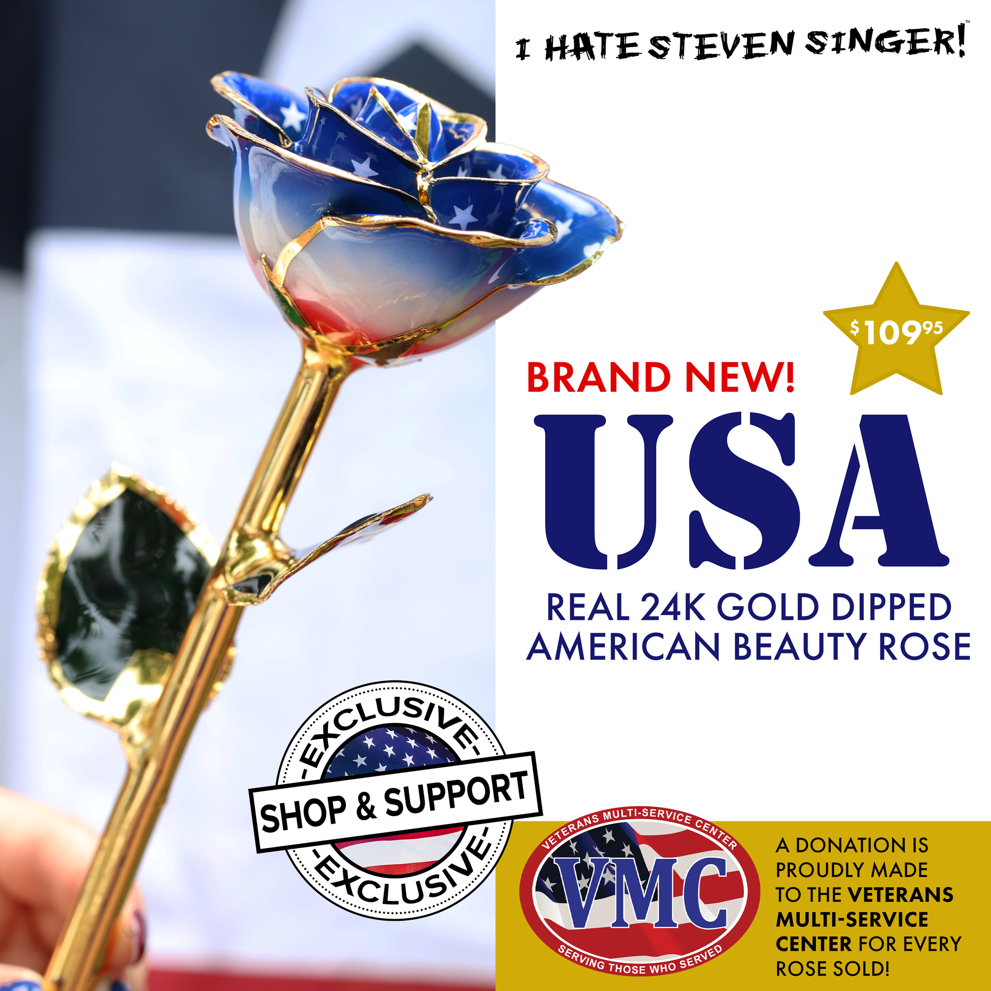 Red, White, and Blue and Veterans, Too!
