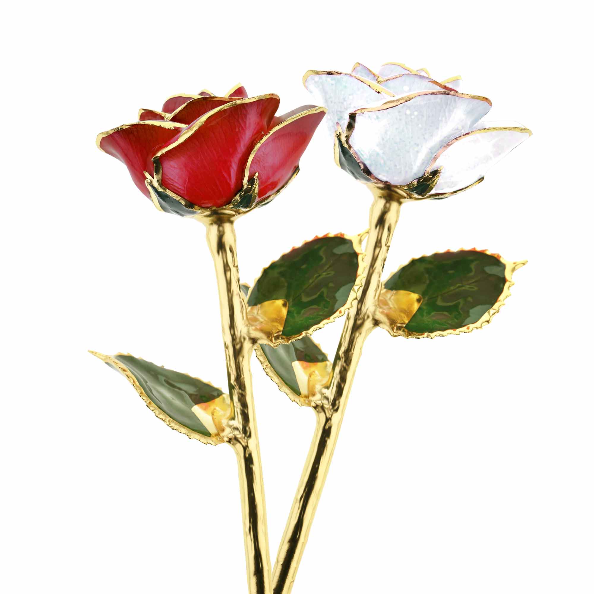 24 Karat Gold Dipped Roses β Steven Singer Jewelers