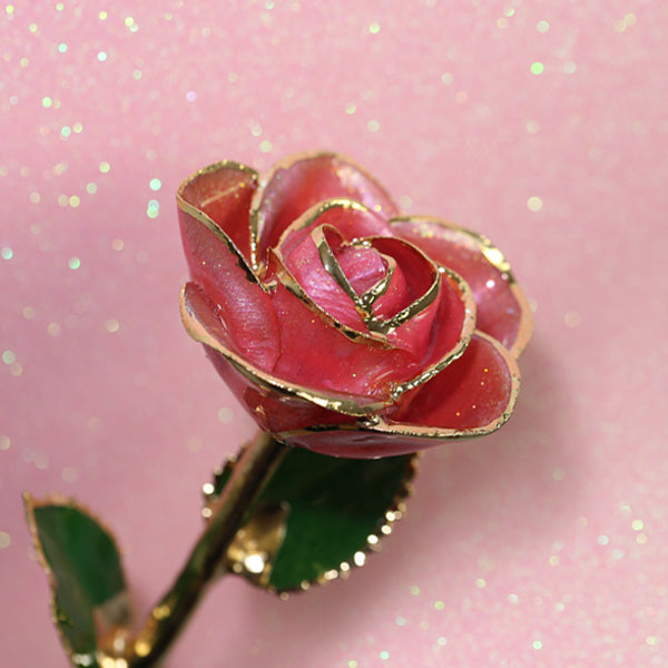 Pink Champagne 24kt Gold Dipped Rose