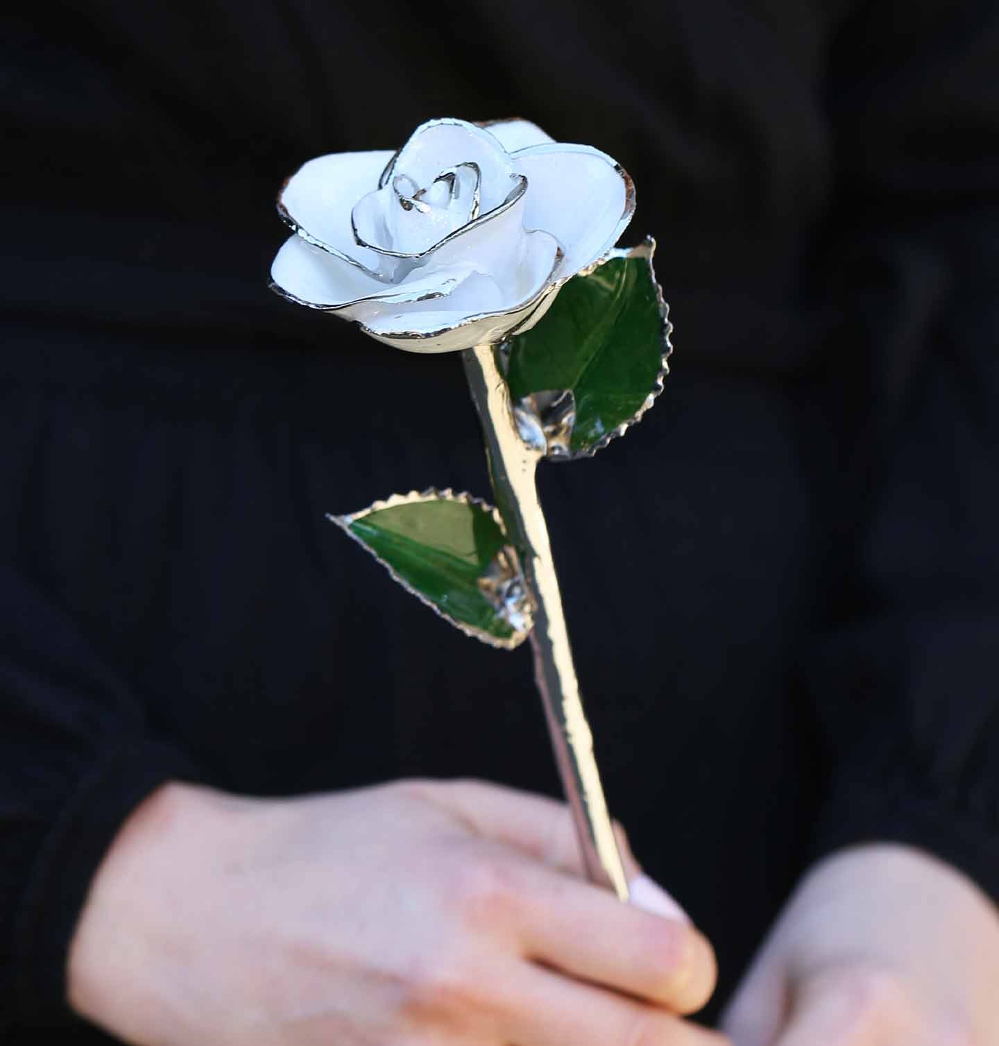 A woman holding our birthstone rose for April, Frozen Platinum Dipped Rose.