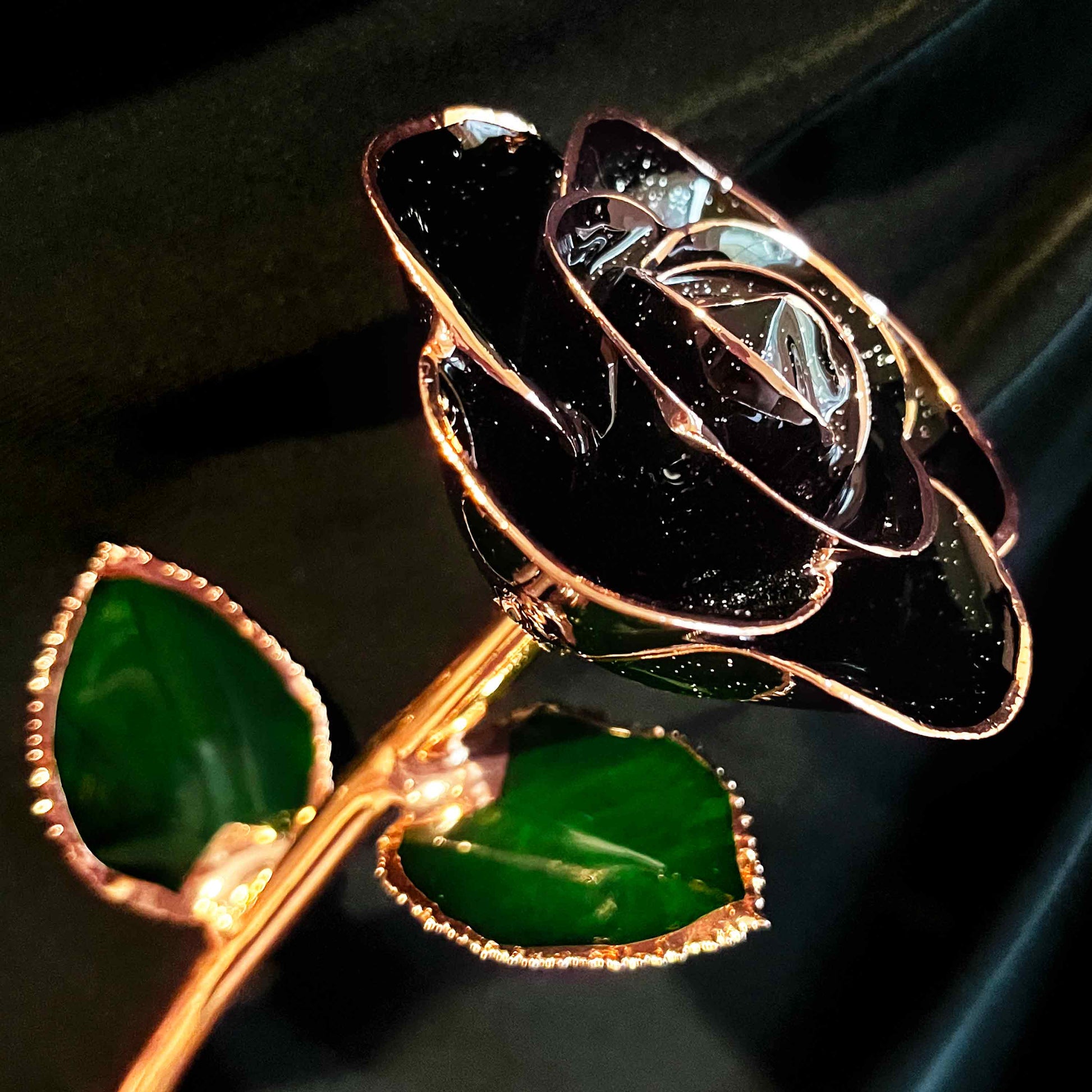 Black Diamond Rose Gold Dipped Rose