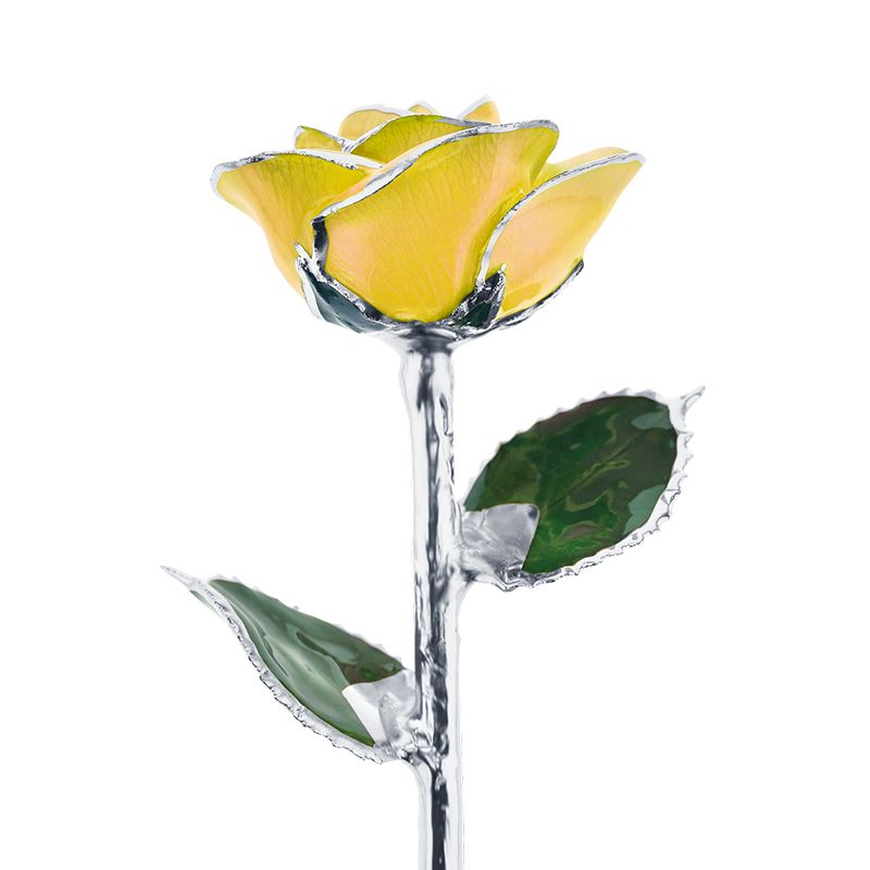Platinum Mother's Love Yellow Rose