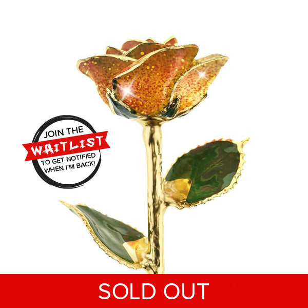 GR0YP00030_soldout_grande.jpg?