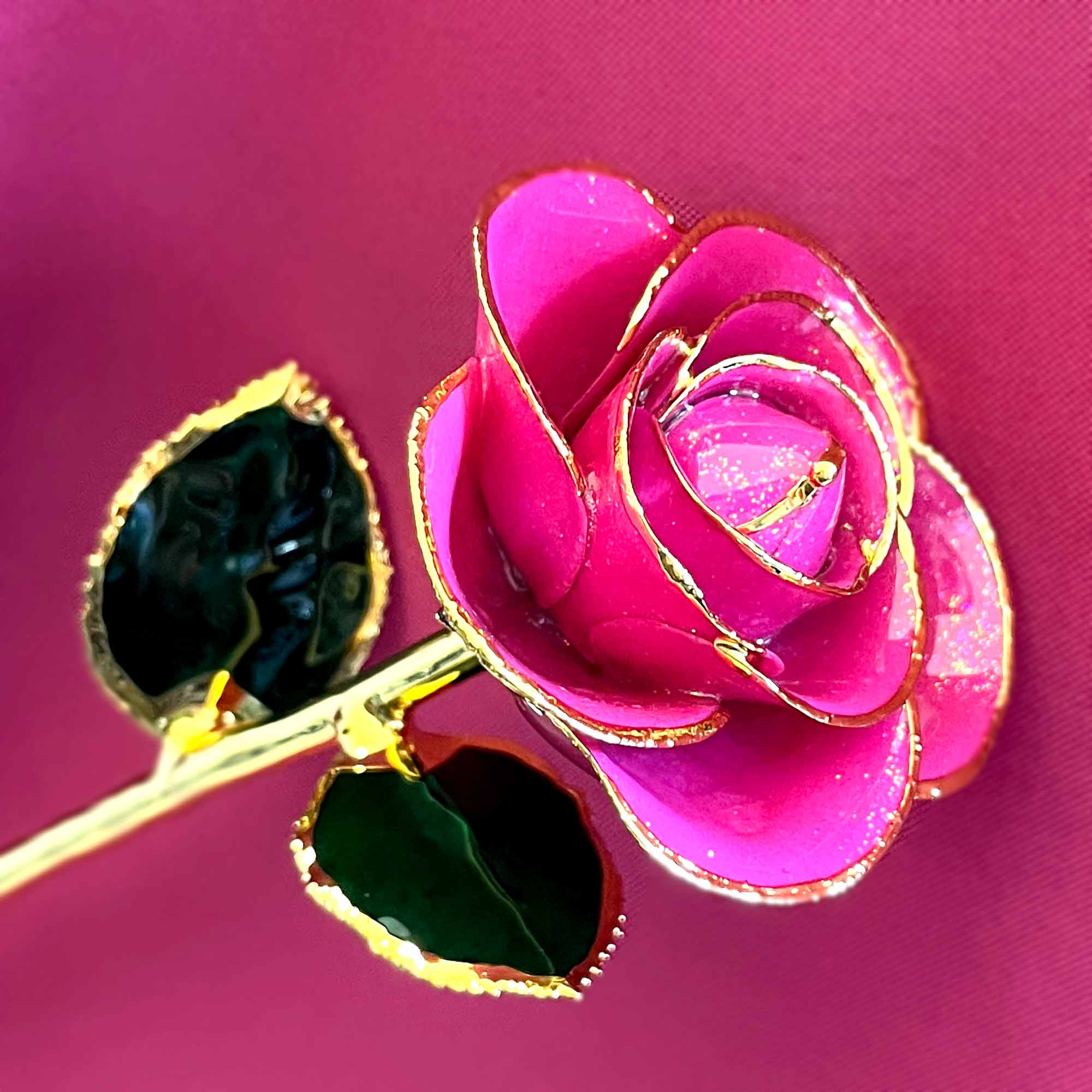 Malibu Pink 24kt Gold Dipped Rose