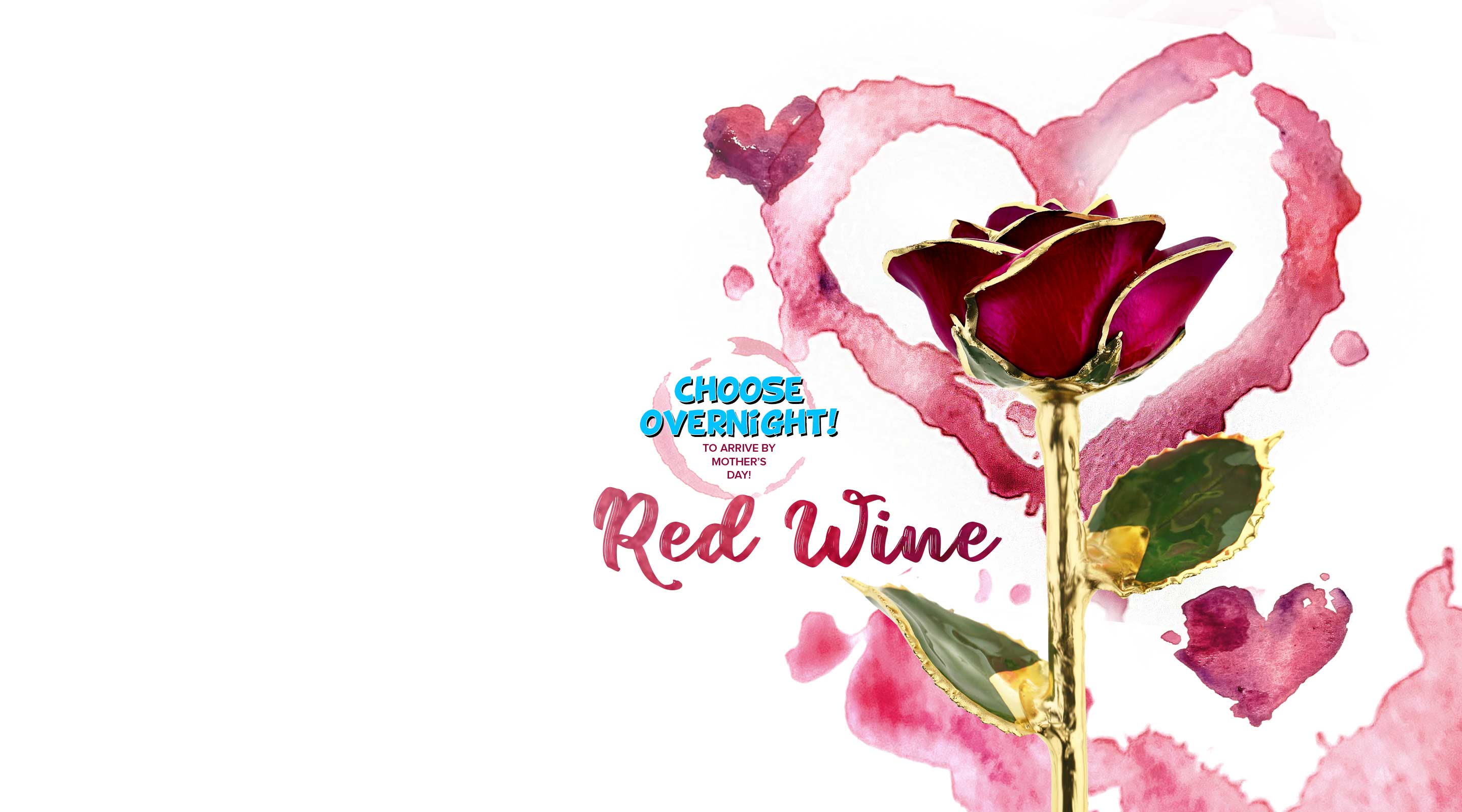 Steven Singer's brand new Red Wine 24 Karat Gold Dipped Rose.