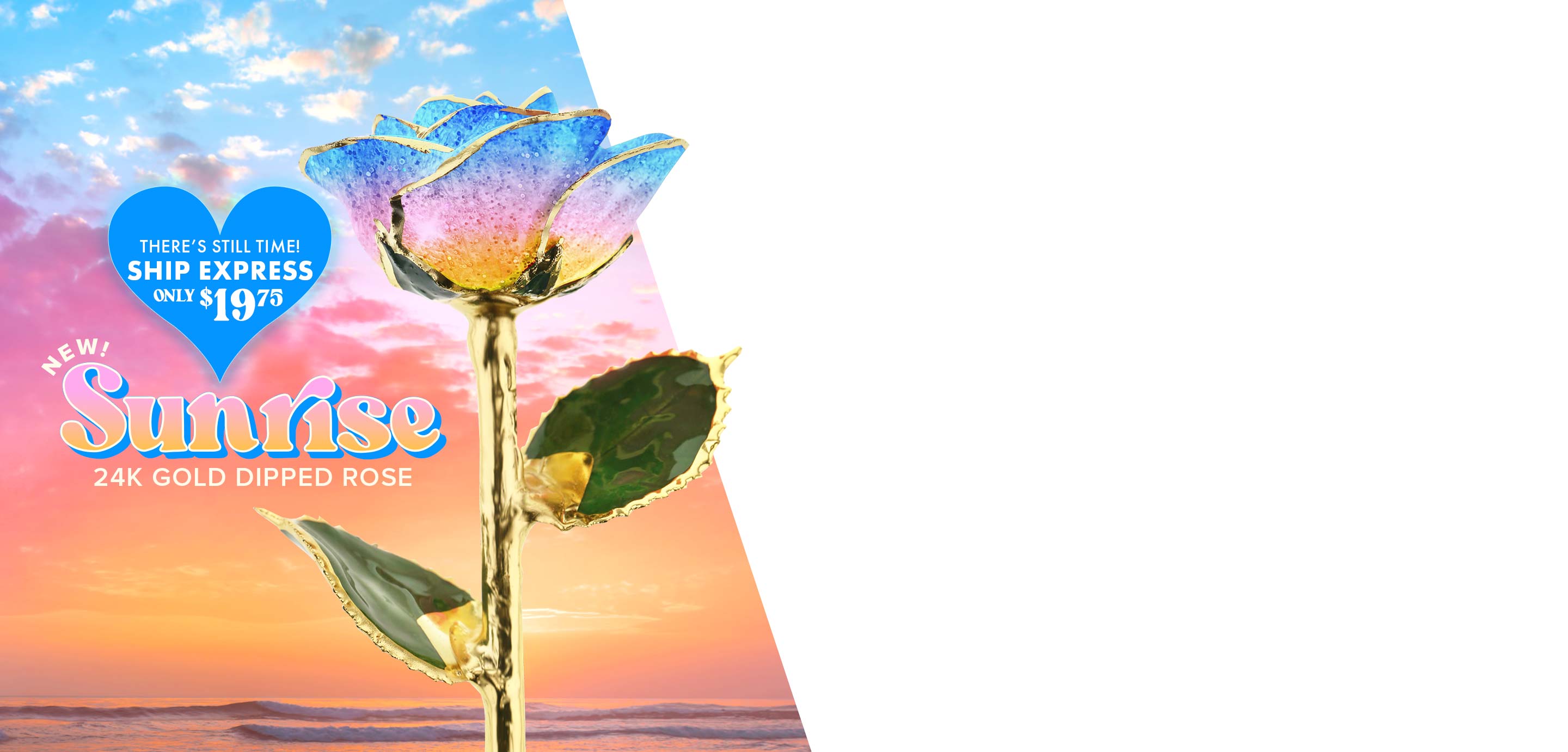 Our new Sunrise 24kt Gold Dipped Rose.
