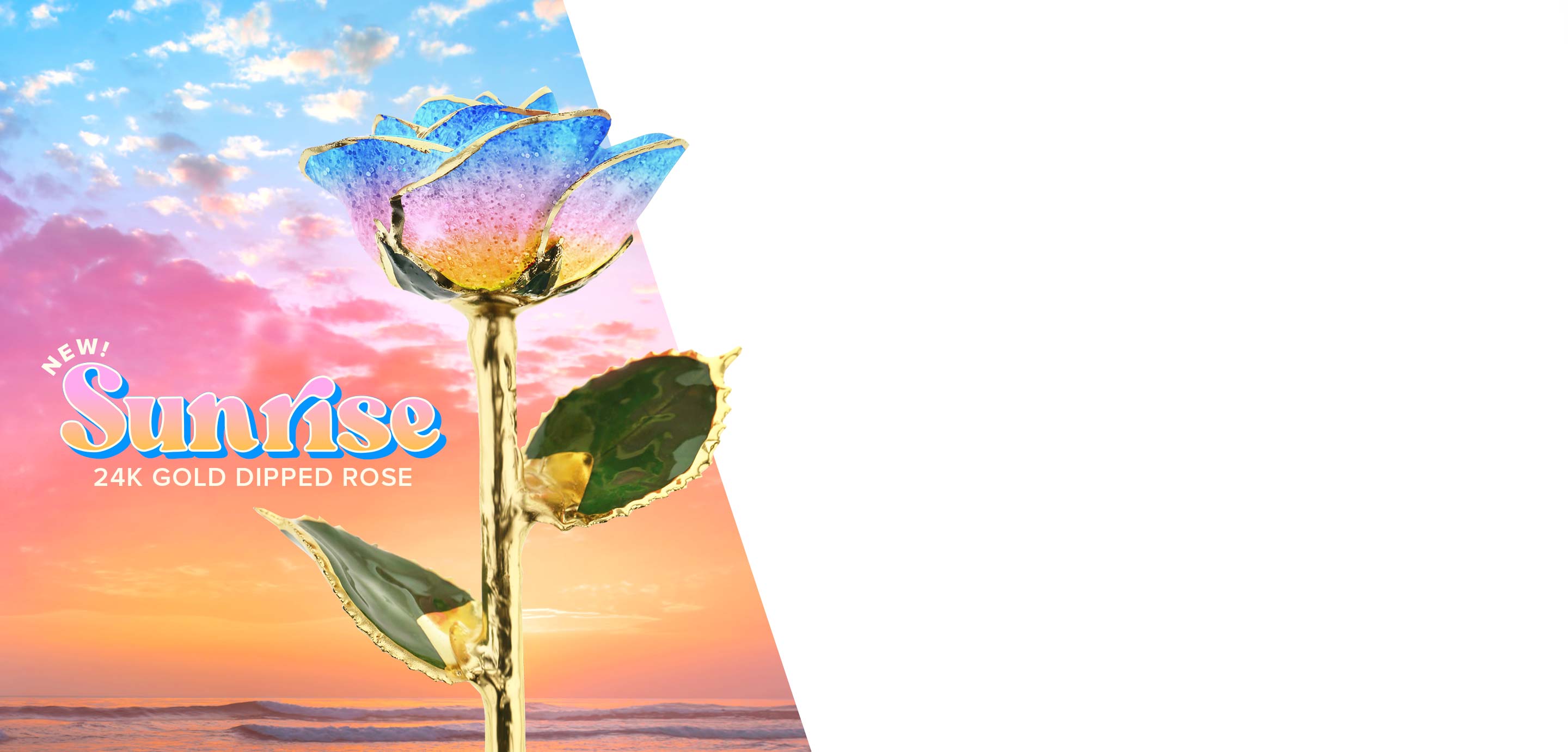 Steven Singer's new Sunrise 24 Karat Gold Dipped Rose with petals that fade from blue to pink to yellow golden on a sunrise background.