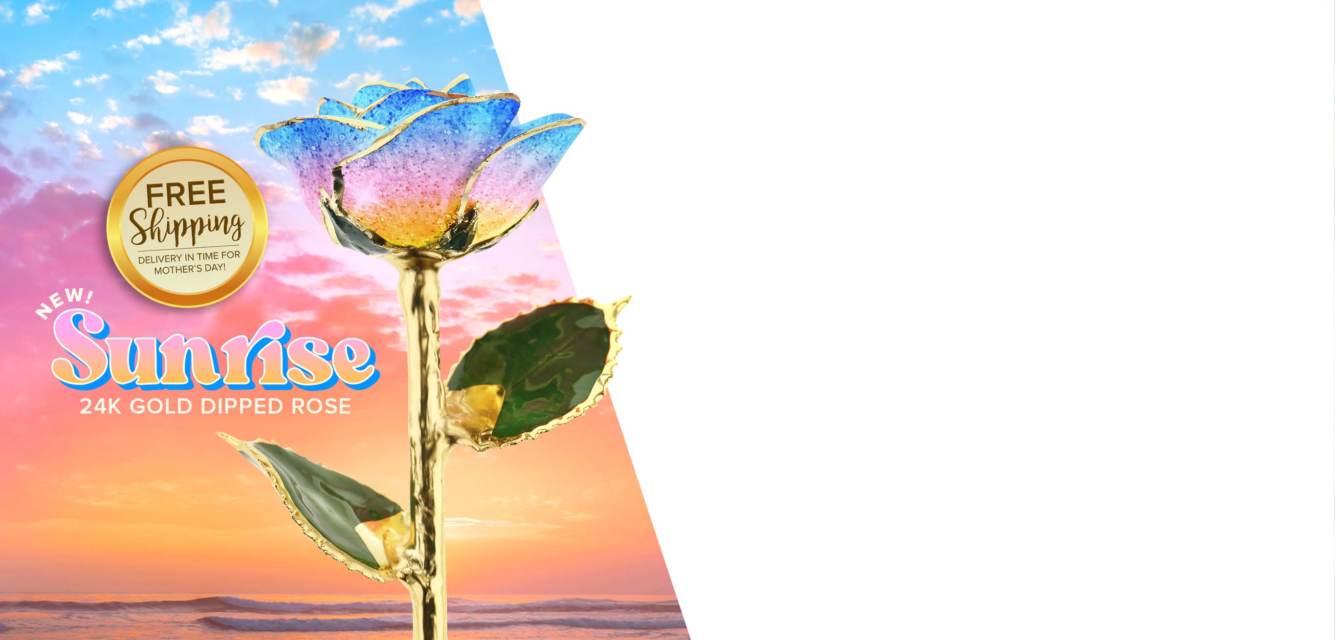 Steven Singer's new Sunrise 24 Karat Gold Dipped Rose with petals that fade from blue to pink to yellow golden on a sunrise background.