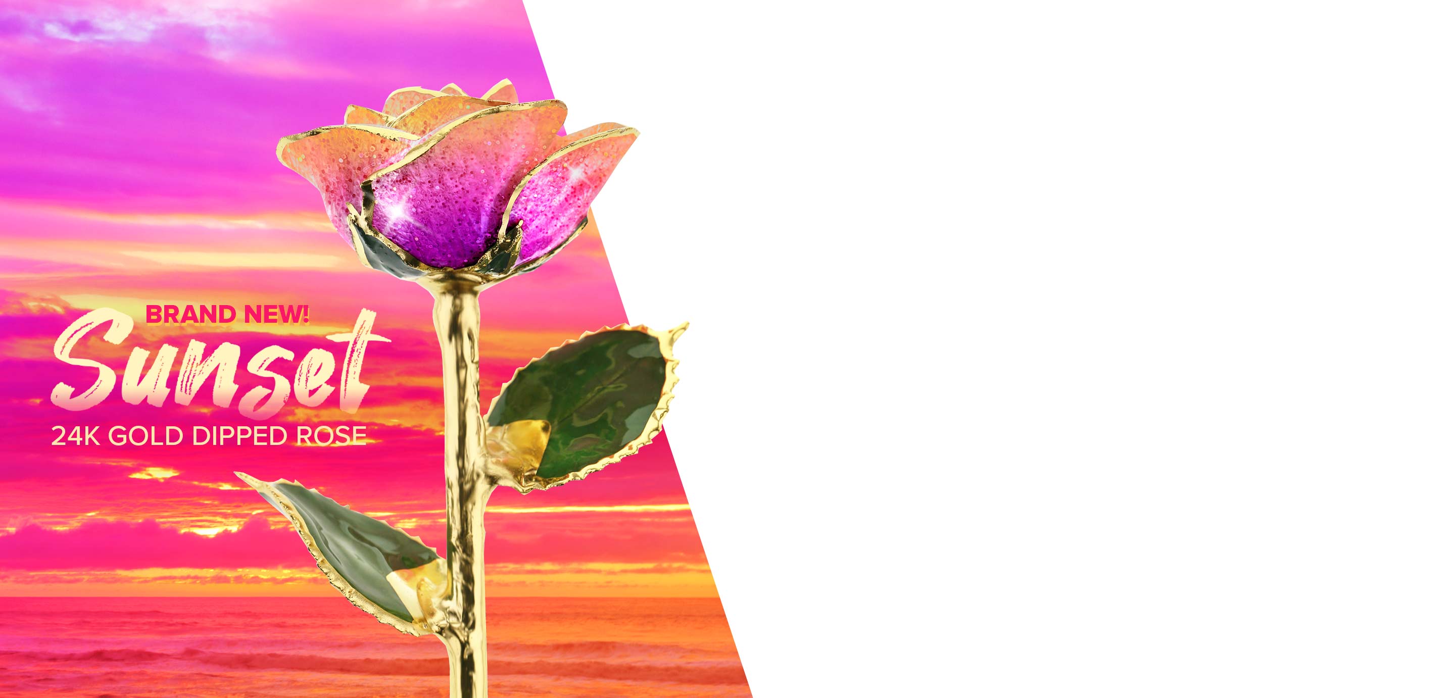 Steven Singer's brand new Sunset 24 Karat Gold Dipped Rose featuring purple, pink and orange tones.