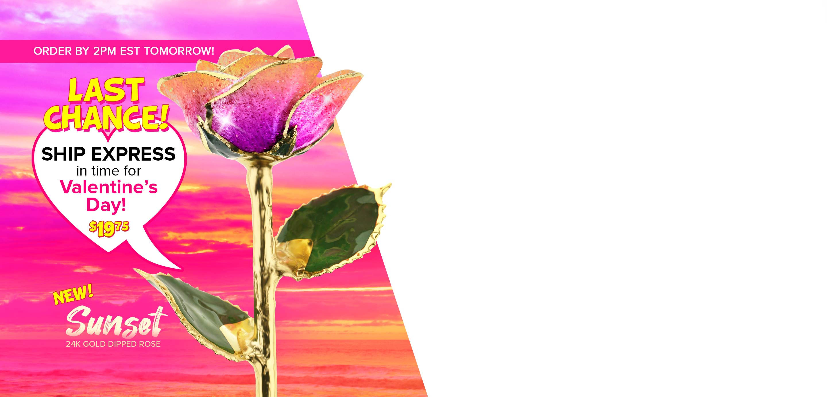 Steven Singer's brand new Sunset 24 Karat Gold Dipped Rose featuring purple, pink and orange tones.