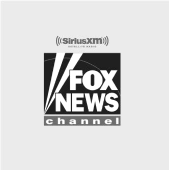 Fox News Channel logo 