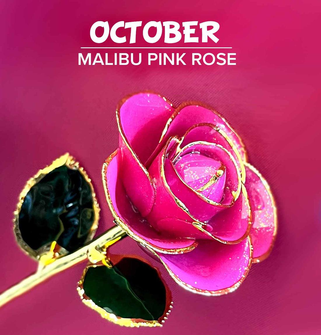 November Birthstone Roses Birthstone Roses – Steven Singer Jewelers