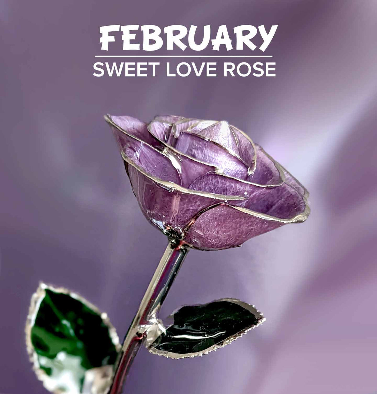 November Birthstone Roses Birthstone Roses – Steven Singer Jewelers