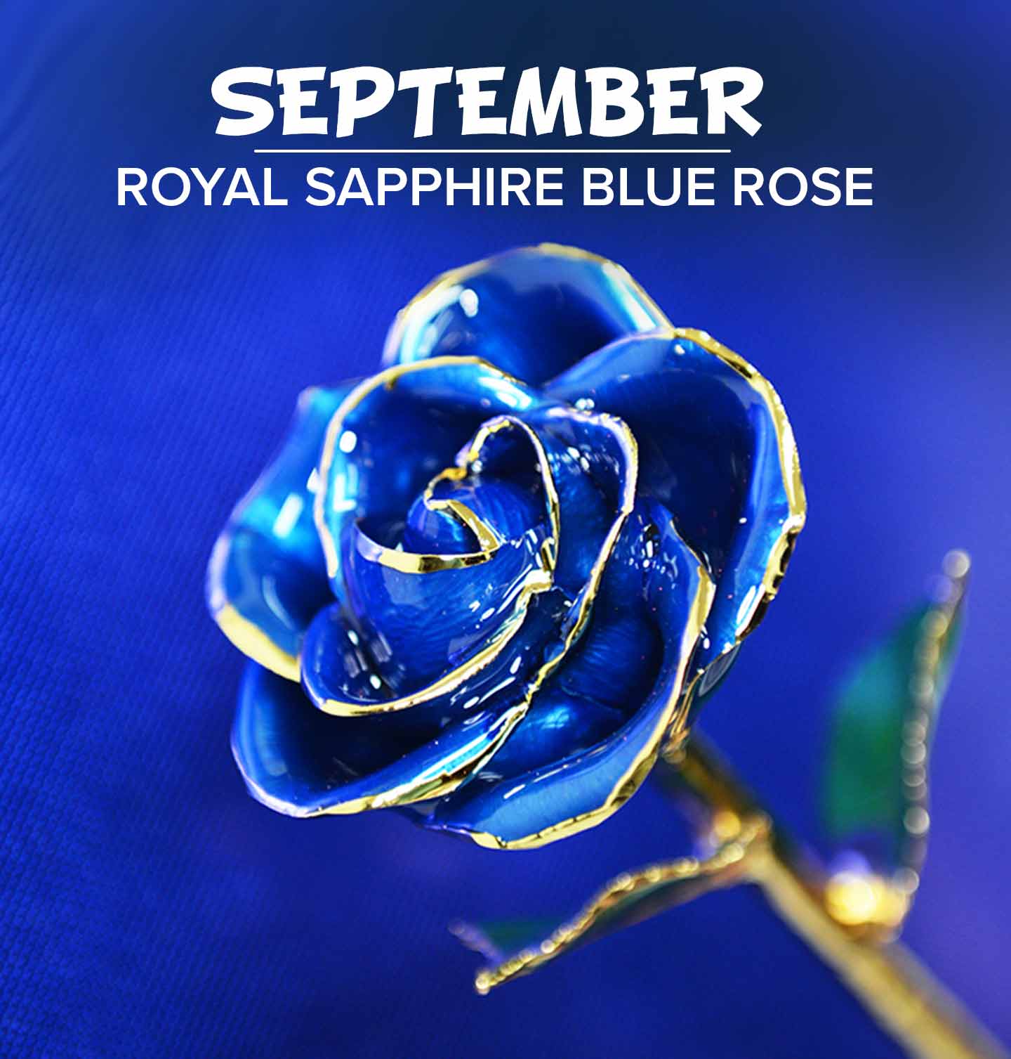 Our Royal Sapphire 24 Karat Gold Dipped Rose for September birthdays that are Sapphire birthstones.