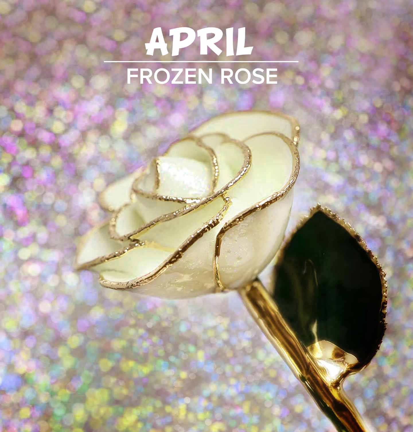 Our birthstone rose for April is our Frozen 24kt Yellow Gold Dipped Rose.