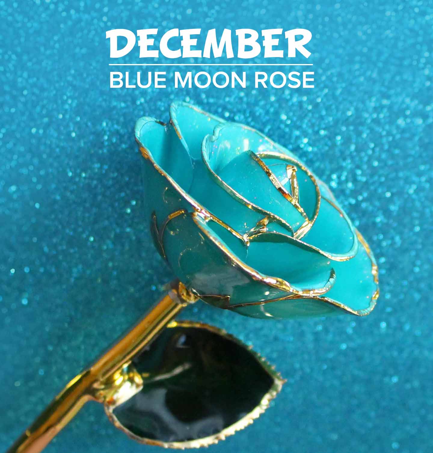 A close up of our birthstone rose for December, Blue Moon, pictured over a textured background.