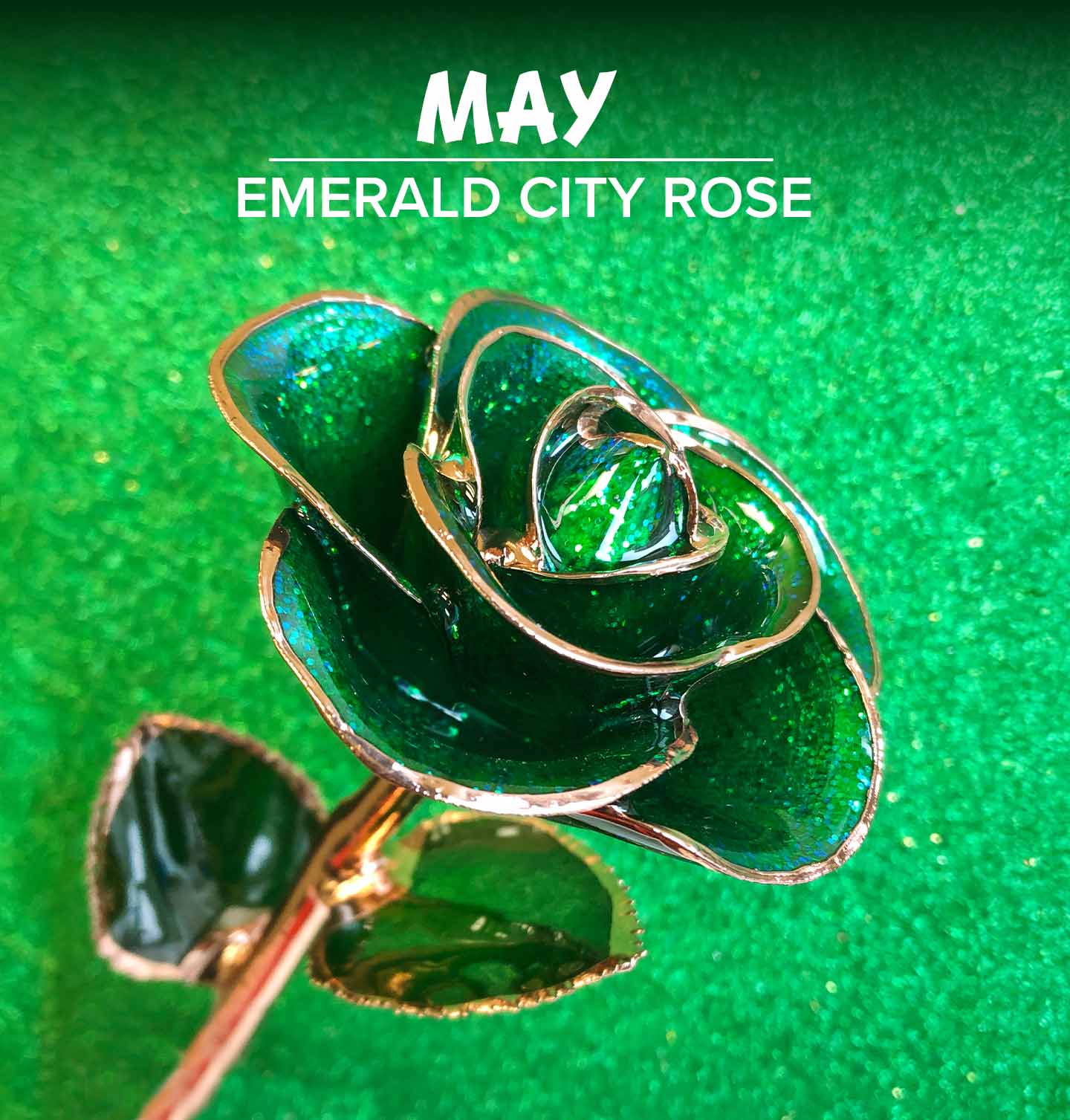 Our birthstone rose for May is our Emerald City Rose Gold Dipped Rose!