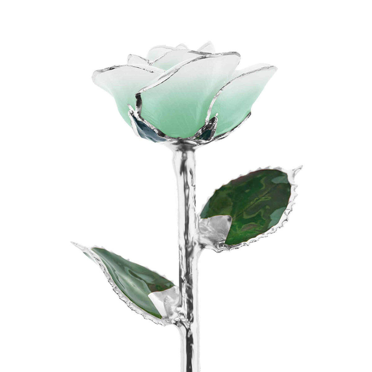 Mint To Be Platinum Dipped Rose