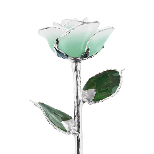 Mint To Be Platinum Dipped Rose