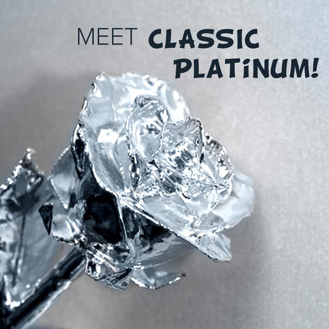 Classic Platinum Dipped Rose