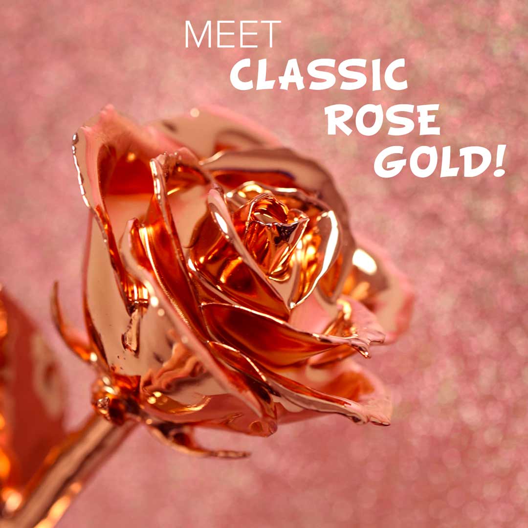 Classic Rose Gold Dipped Rose