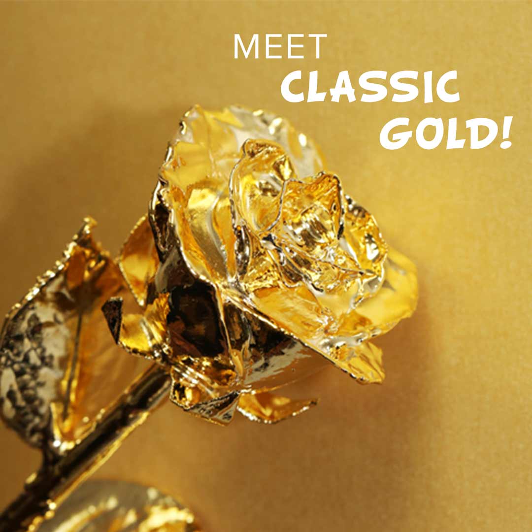 Classic 24kt Gold Dipped Rose