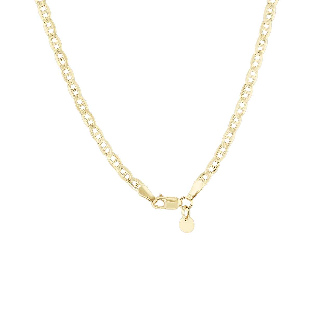 Lamora Gold Bonded Chain Necklace