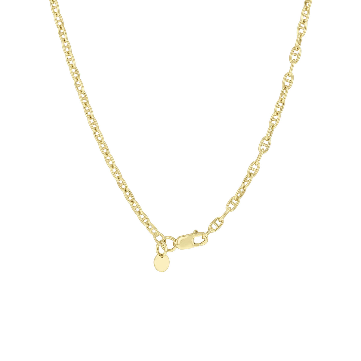 Xenia Gold Bonded Chain Necklace