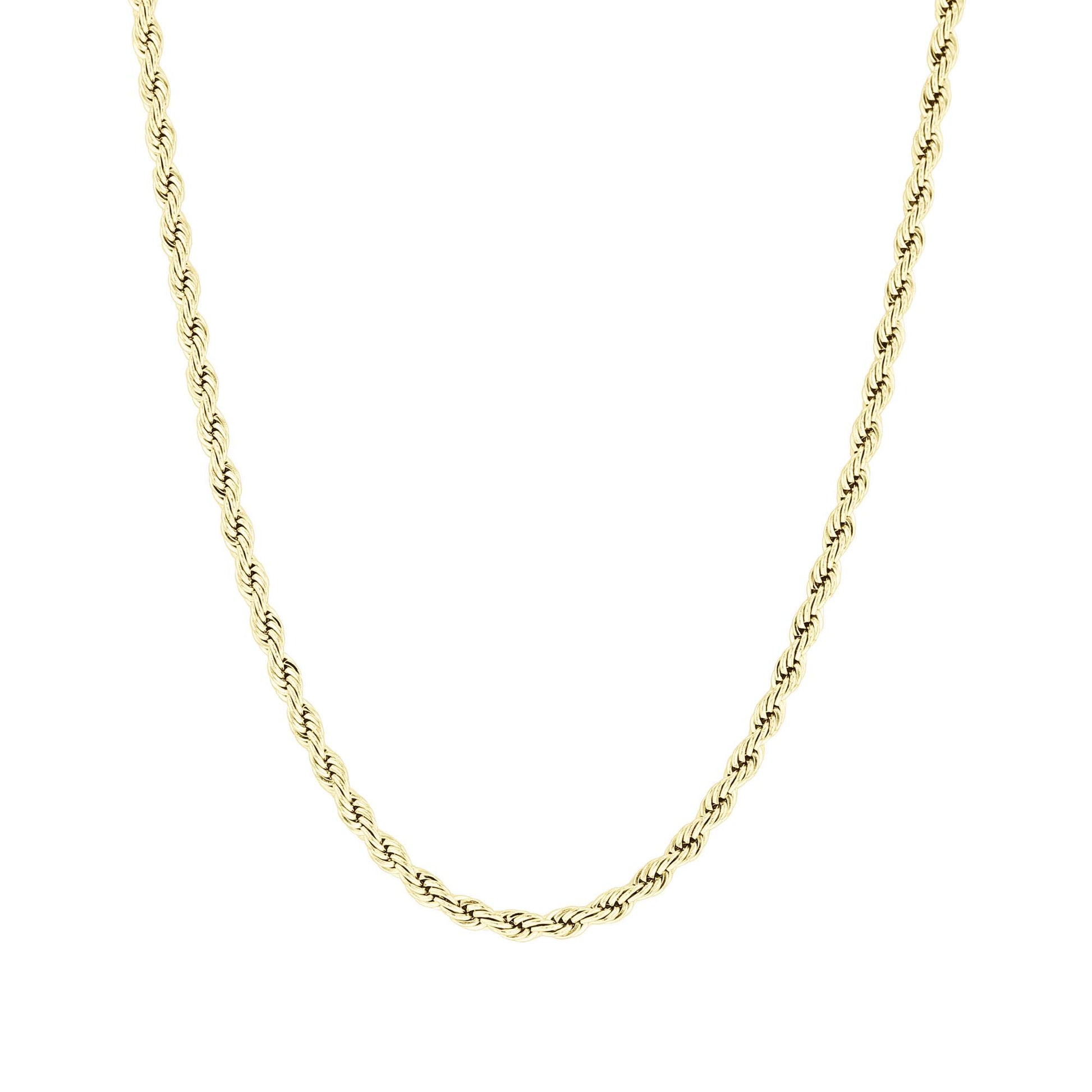 Davie Stainless Steel Rope Chain Necklace