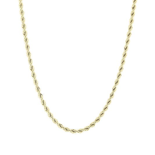 Davie Stainless Steel Rope Chain Necklace