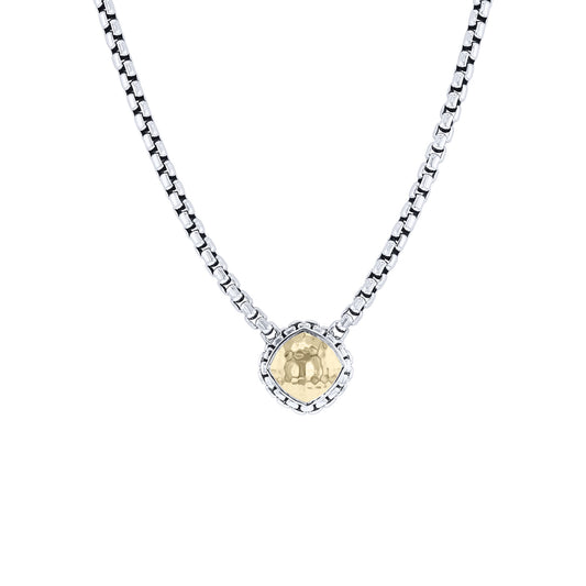Mazi Silver & Gold Box Chain Necklace