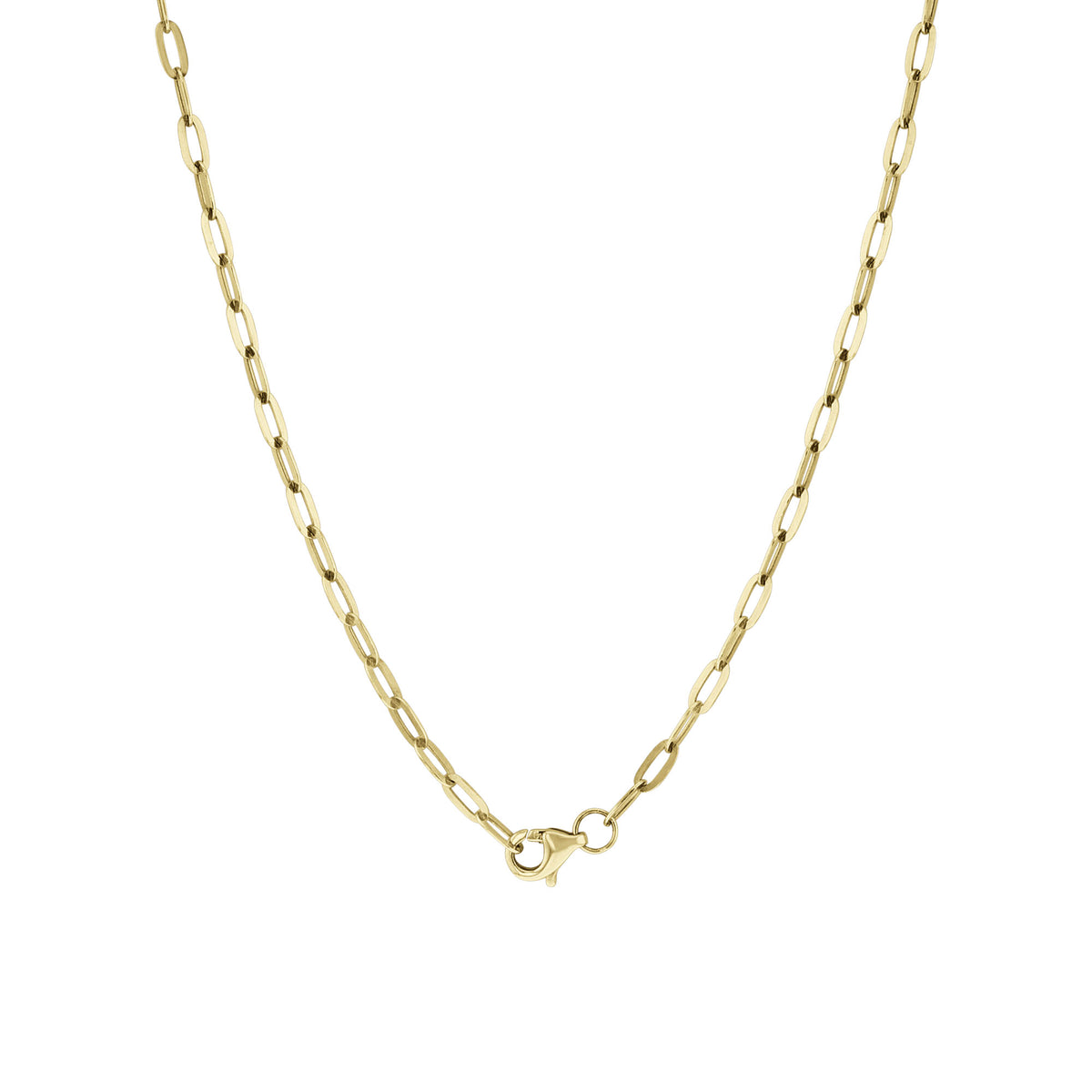 Michelle Pearl Paperclip Chain Necklace